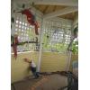 Image 1 : DECORATIVE PARROTS