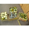 Image 1 : 2 CANNING MACHINES W/BOXES OF CANS