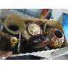 Image 2 : POTTERY VASES, TEAPOT, PLANTER, ETC.
