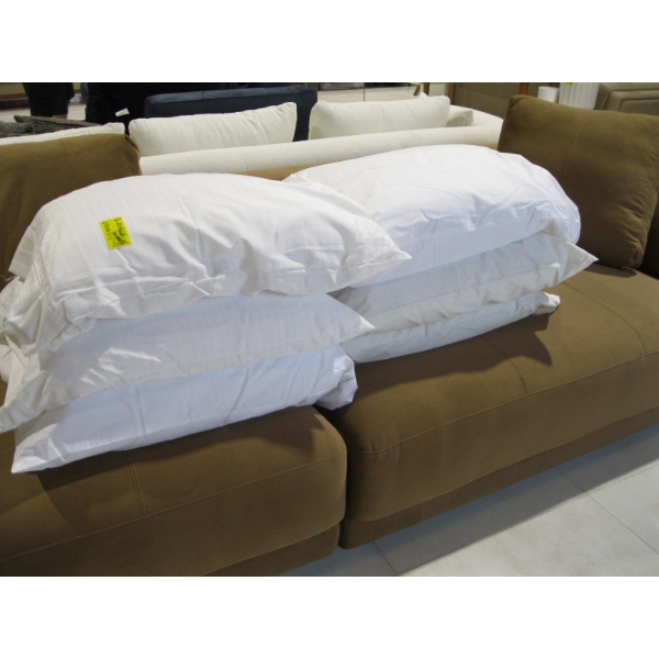 6 PILLOWS IN CASES