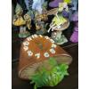 Image 2 : COLLECTABLE MUSHROOMS