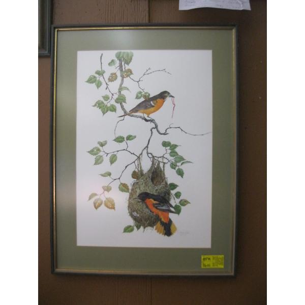 FRAMED PRINT OF ORIOLES, 1974 BY ROBIN HILL, FRANKLIN MINT