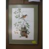 Image 1 : FRAMED PRINT OF ORIOLES, 1974 BY ROBIN HILL, FRANKLIN MINT