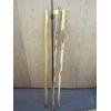 Image 1 : 3 WALKING STICKS