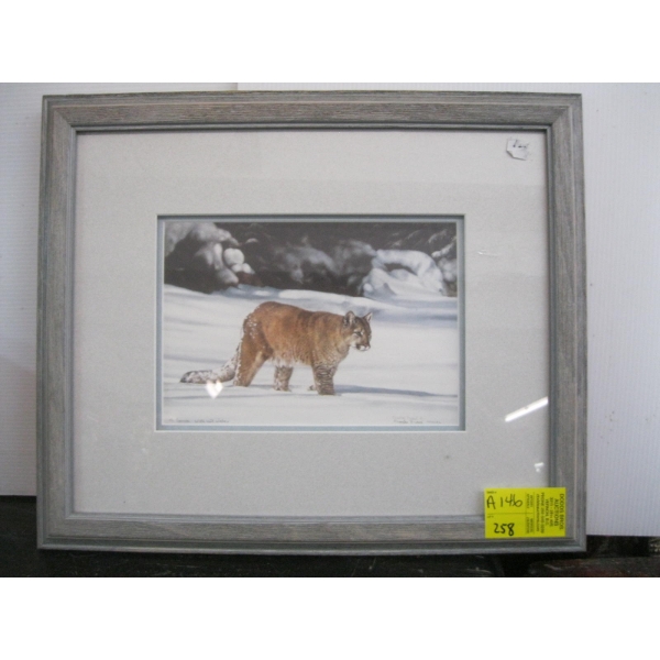 FRAMED SIGNED PRINT OF MOUNTAIN LION