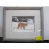Image 1 : FRAMED SIGNED PRINT OF MOUNTAIN LION