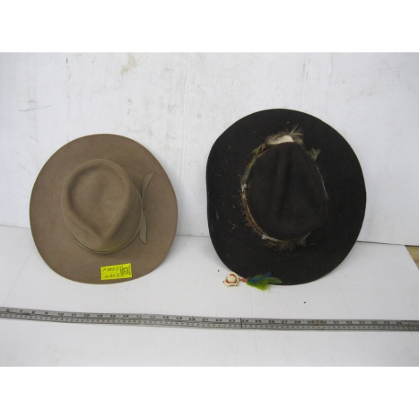 2 FELT COWBOY HATS