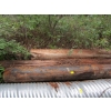 Image 1 : 6 APPROX. 30' TELEPHONE POLES