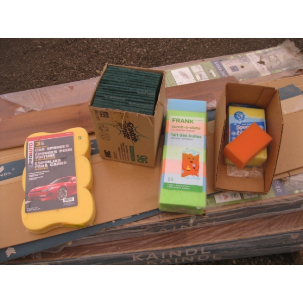 SPONGES & 3M SCOURING PADS