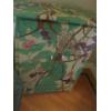 Image 1 : PAINTED CABINET