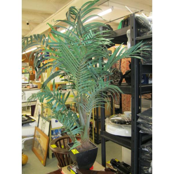 ARTIFICAL FERN PLANT