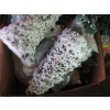 Image 5 : 7 BOXES OF CHRISTMAS DÉCOR