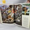 Image 6 : COLLECTABLE BOOKS, SESAME ST. DICTIONARY SET, COMIC BOOKS, LEGO, OLYMPIC PICTORIAL BOOK