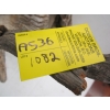 Image 2 : HORNED OWL