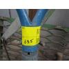 Image 5 : BUNDLE OF ASST. GARDEN TOOLS