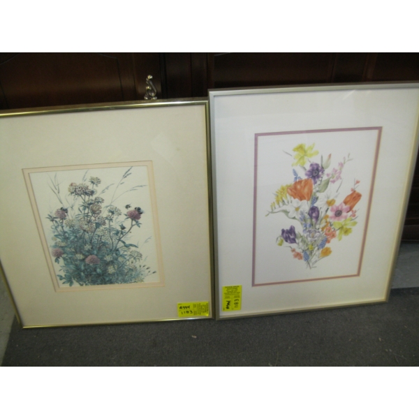 2 FRAMED PICTURES