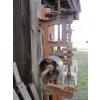 Image 2 : HEAVY DUTY WALL MOUNT CANADY DRILL PRESS