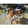 Image 2 : SPRING HORSE