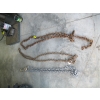 Image 1 : 3 - 8' CHAINS