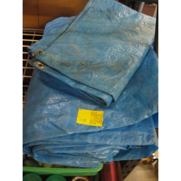 2 TARPS