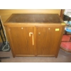 Image 1 : 2 DOOR STORAGE CABINET