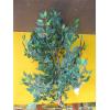 Image 2 : 2 ARTIFICIAL PLANTS