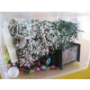 Image 2 : CHRISTMAS DÉCOR