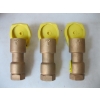 Image 1 : 3 RAINBIRD METAL VALVES 