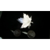 Image 2 : STERLING SILVER .925 CUFFLINKS & MAPLE LEAF BROACH