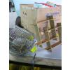 Image 1 : 3 BOXES OF MISC. KIDs TOYS, CUTTING BOARDS, METAL RACKS, SEWING ITEMS, ETC.