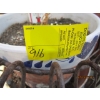 Image 4 : WALL MOUNT PLANTER, ASST. PLANTERS ON FRONT PORCH