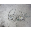 Image 2 : ROPE