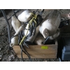 Image 1 : WOODEN CRATE W/ASST. BOAT BUMPERS