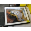 Image 4 : MISC. PICTURES