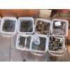Image 2 : ASST. BUCKETS OF NUTS, BOLTS, NAILS, ETC.