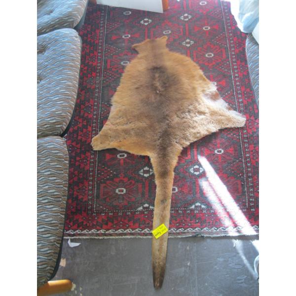 KANGAROO HIDE