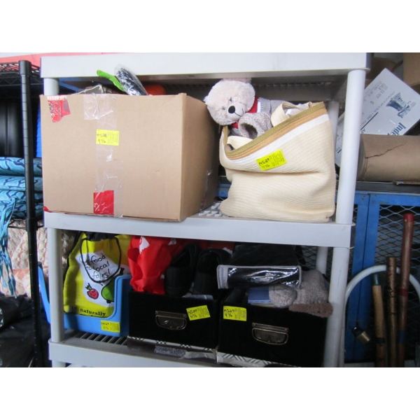 2 BOXES OF MISC. SHOES, BOOKS, LAMP, STUFFED ANIMAL, ETC.