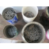 Image 2 : LOT OF ASST'D - NAILS, SCREWS