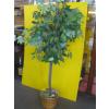 Image 3 : 2 TALL ARTIFICIAL PLANTS