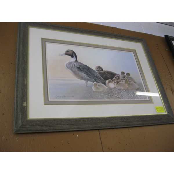 PICTURE OF DUCK & BABIES