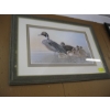 Image 1 : PICTURE OF DUCK & BABIES