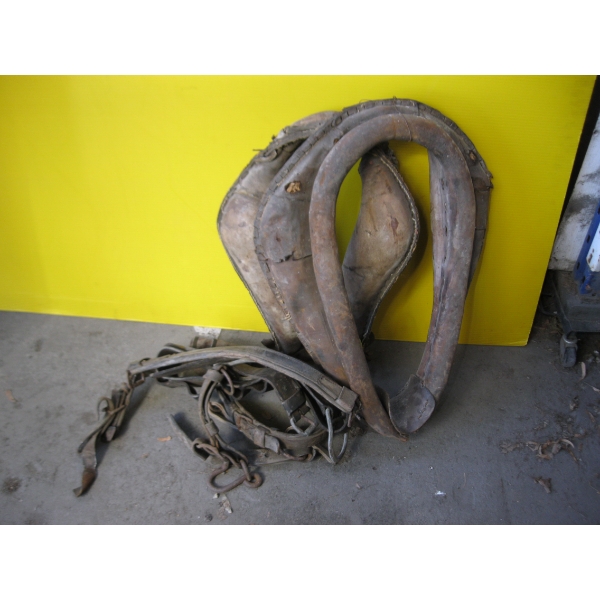 LEATHER NECK YOKES