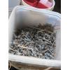 Image 2 : LG. LOT OF MISC. SCREWS, NUTS, BOLTS, ETC.