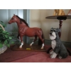 Image 1 : PLASTIC HORSE & SCHNAUZER DOG