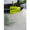 Image 3 : REAL PLANT