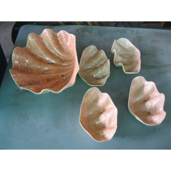 DECORATIVE SHELL BOWLS