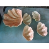 Image 1 : DECORATIVE SHELL BOWLS