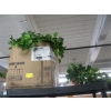 Image 4 : DECORATIVE ARTIFICIAL PLANTS