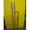 Image 1 : 3 WALKING STICKS & A CANE