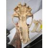 Image 3 : BEAR SKULL W/LOWER JAW
